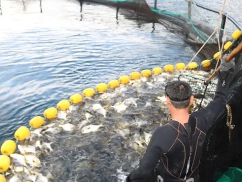 Chủ động chào đón doanh nghiệp đầu tư nông nghiệp