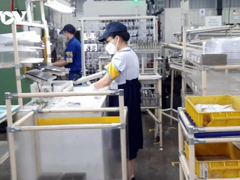 Nhân lực cho ngành bán dẫn cần chiến lược "điều hướng"