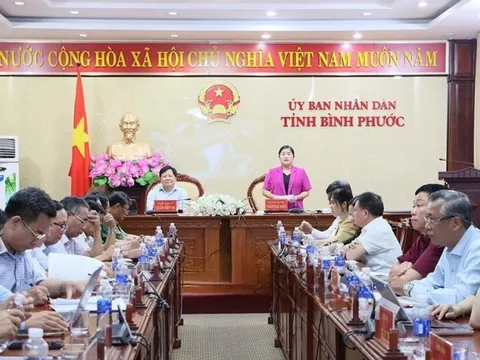 Bình Phước: Tháng 1, kim ngạch xuất khẩu ước đạt trên 409 triệu USD