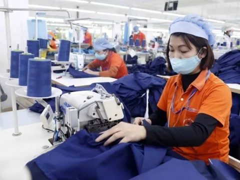 Canada có thể là cánh cửa cho các doanh nghiệp Việt Nam nâng quy mô và đi ra thế giới