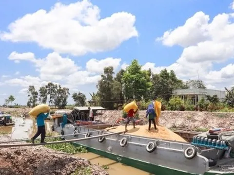 Nông dân ĐBSCL đổi đời từ nền kinh tế nông nghiệp