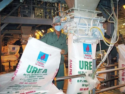 Lợi nhuận “bốc hơi” 90%, Đạm Phú Mỹ vẫn trả hết nợ vay tài chính