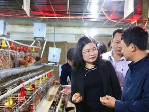 Sáp nhập và những vấn đề cần tháo gỡ