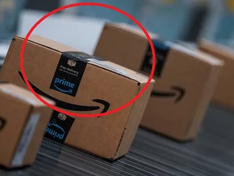 Một ngành hàng tỷ USD sắp vào top 5 xuất khẩu lớn nhất ở Việt Nam: Mỹ, Nhật Bản có thể là khách hàng lớn