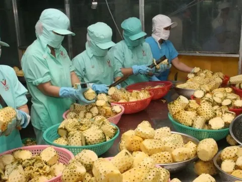 Tín hiệu tích cực xuất khẩu nông sản năm 2024