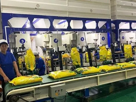 Ngành gạo vui, Trung An vẫn buồn