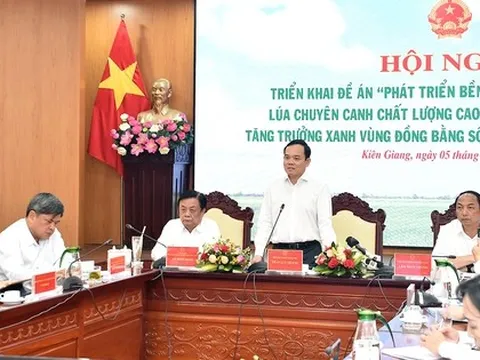 Đề án 1 triệu ha lúa chất lượng cao: Cuộc chơi lớn và nguyên tắc 10 chữ