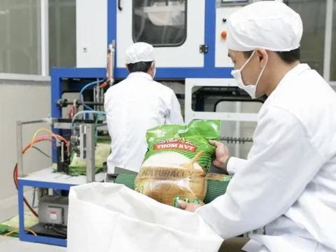 Vinaseed bị "réo" tên do sai phạm liên quan đến thuế