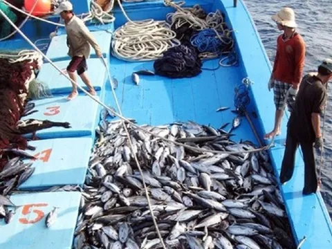 Xuất khẩu thủy sản năm 2024: Dự báo mục tiêu và những thách thức