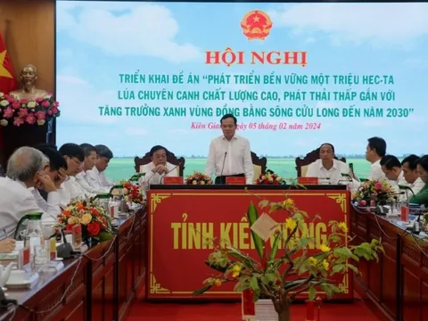 Phát triển 1 triệu ha lúa chuyên canh chất lượng cao tại ĐBSCL