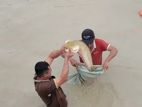 Hàng nghìn người dân tham gia lễ hội bắt cá ngày cận Tết