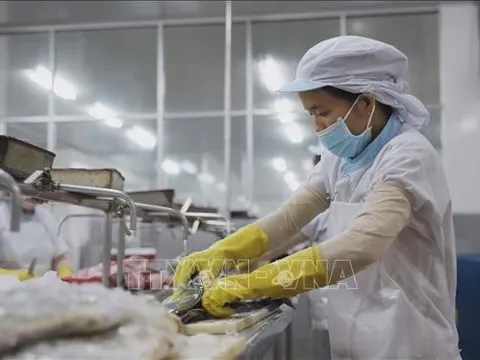 Quy định mới về miễn thuế thu nhập doanh nghiêp, thuế thu nhập cá nhân