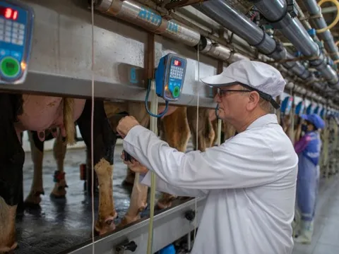 Tự chủ giống bò sữa, TH góp vai trò lớn giải bài toán khó của nông nghiệp Việt Nam