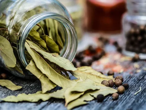 Ít quốc gia sở hữu loại lá vừa cay, vừa đắng này, Việt Nam đem xuất ngoại giá 2 triệu đồng/kg