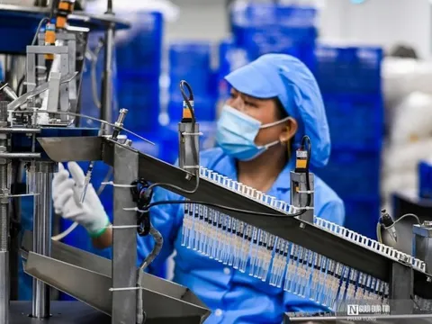 Kỳ vọng kinh tế Việt Nam tăng trưởng mạnh mẽ trong năm 2024