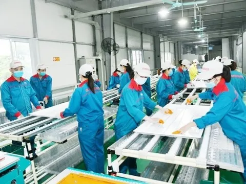 Bộ trưởng Hồ Đức Phớc: Gỡ khó cho doanh nghiệp, chỉ giảm thuế là chưa đủ