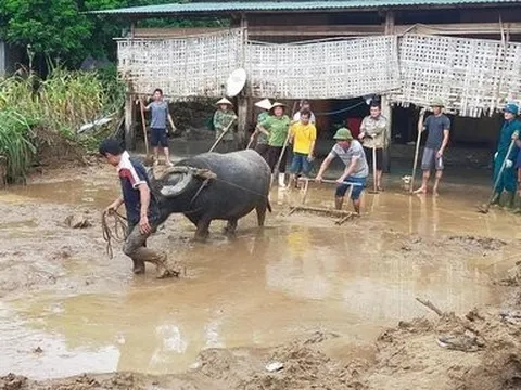 Sức sống trào dâng xóa dấu tích đại hồng thủy