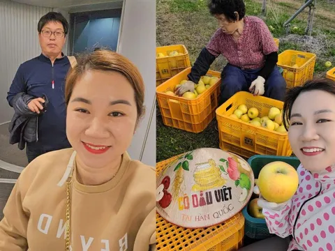 Được mai mối cho ông nông dân Hàn, không ngờ chồng là “địa chủ”, 15 năm sau thành bà trùm nông sản
