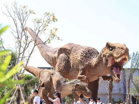 Du lịch Bình Thuận, Bà Rịa - Vũng Tàu bội thu dịp Tết