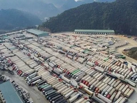 Xuất khẩu sang Trung Quốc năm 2024 sẽ tiếp đà tăng trưởng mạnh