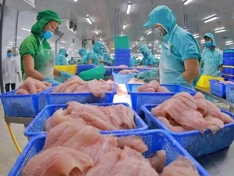 Xuất khẩu thủy sản và những mục tiêu năm 2024