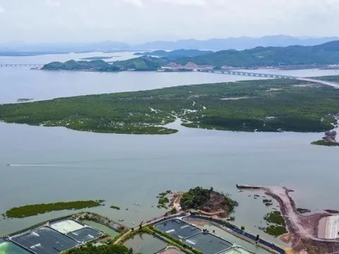 Những chỉ đạo đầu năm của nhiều bộ trưởng