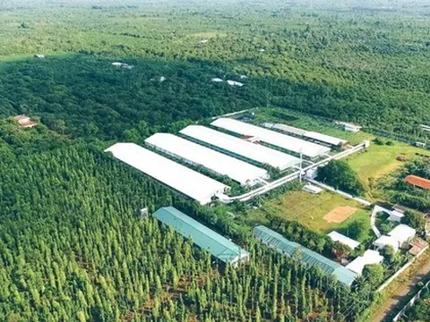 Phát triển kinh tế carbon thấp: Điều kiện 'cần' để hướng đến kinh tế tuần hoàn