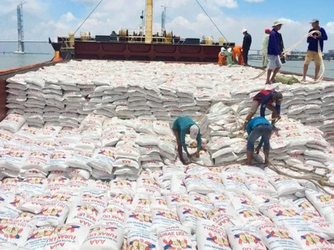 Doanh nghiệp ngành gạo “gặt” từng đồng tiền lãi