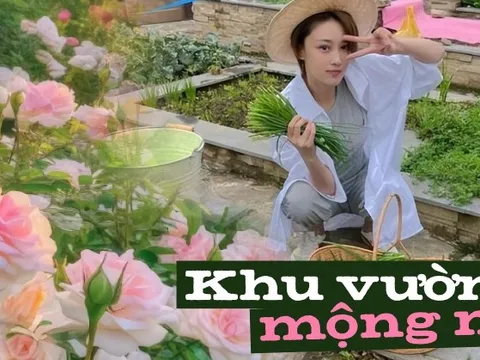 Chị đẹp xứ Trung "nổi rần rần" trên mạng xã hội nhờ tự tay vun trồng một vườn rau đẹp như truyện cổ tích