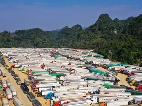 Xe chở nông sản ùn ùn đổ về cửa khẩu chờ xuất Trung Quốc
