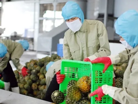 Sản xuất, xuất khẩu đầu năm: Nhiều gam màu tươi sáng