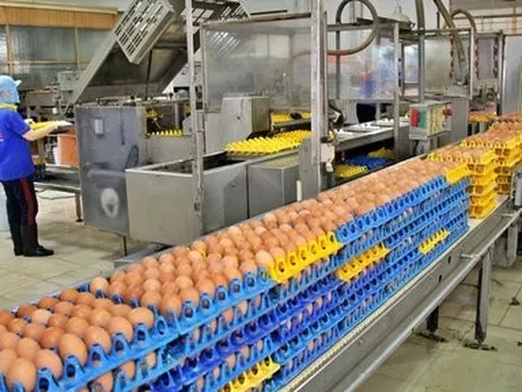 Tp.HCM kích cầu kinh tế 2024 và kỳ vọng bứt tốc tăng trưởng