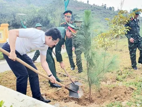 Kỳ vọng về một rừng cây toả mát ở khu tưởng niệm 13 liệt sĩ Rào Trăng