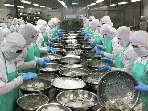 Kiên Giang: Kim ngạch xuất khẩu tăng gấp 2 lần so với cùng kỳ