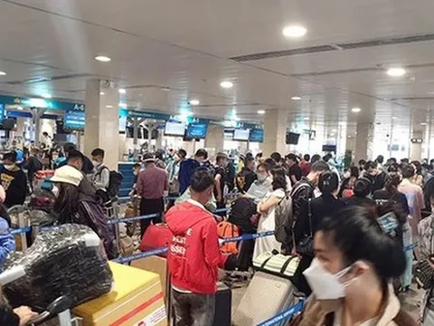 Yêu cầu báo cáo việc giá vé máy bay 'nhảy múa' dịp Tết