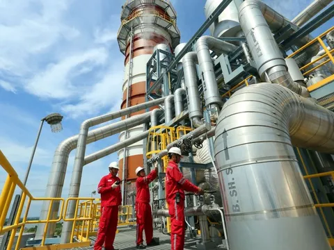 Chiếm chưa đến 0,1% DN trên thị trường nhưng nhóm này lại có vai trò dẫn dắt nền kinh tế Việt Nam