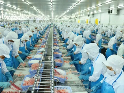 Vĩnh Hoàn đạt mức doanh thu 921 tỷ đồng trong tháng 1/2024