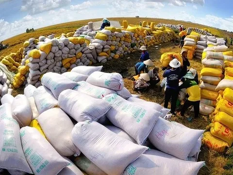 Đầu năm 2024, xuất khẩu gạo tăng trưởng mạnh ở cả 3 tiêu chí