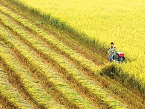 Việt Nam dẫn đầu về cách mạng nông nghiệp xanh