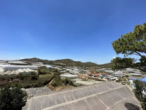 Diện mạo huyện "nóc nhà" Tây Nguyên sắp sáp nhập vào Đà Lạt, thu du lịch 320 tỷ đồng/năm