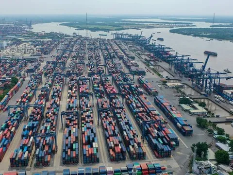 Gần 5.000 container vô chủ 'ăn vạ' cảng biển