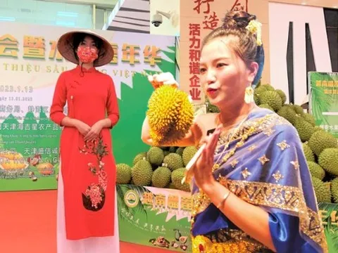Ai sẽ thống trị thị trường sầu riêng Trung Quốc? Việt Nam và 2 nước ĐNÁ thách thức 'ngôi vương' Thái Lan