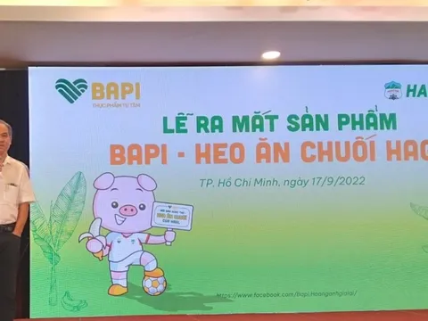 Bapi Hoàng Anh Gia Lai đột ngột giảm vốn điều lệ, hệ thống bán online từng được kỳ vọng xử lý 100.000 đơn hàng/ngày nay bị bỏ bê?