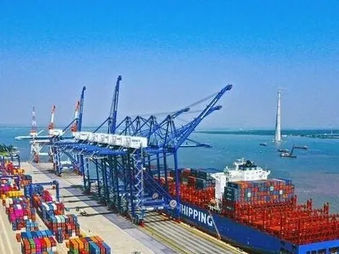 Xử lý thế nào việc hãng tàu nước ngoài 'lạm thu'?