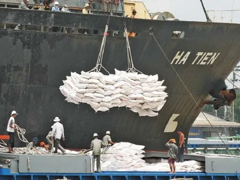 Việt Nam xuất khẩu gạo thứ 3 của thế giới: Cơ hội lớn để ngành lúa gạo "chuyển mình"