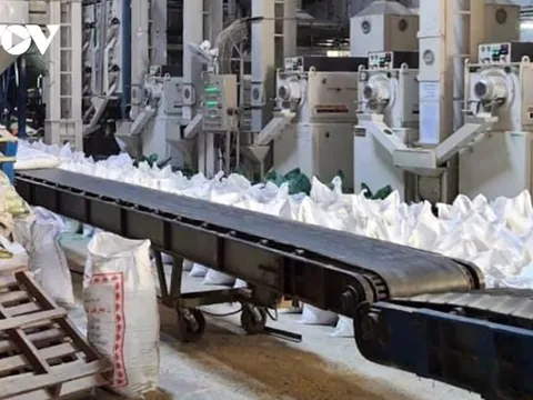 Giá gạo xuất khẩu sẽ không duy trì xu hướng giảm quá lâu