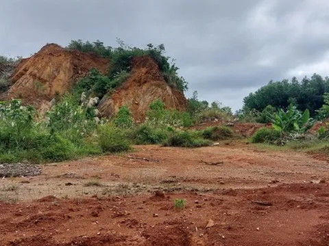 Công ty Xuân Vượng có dấu hiệu trốn thuế: Chuyển thông tin cho Công an Quảng Nam