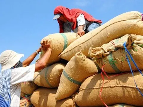 Vì sao Việt Nam cần giữ vị trí số một xuất khẩu gạo tại Philippines?