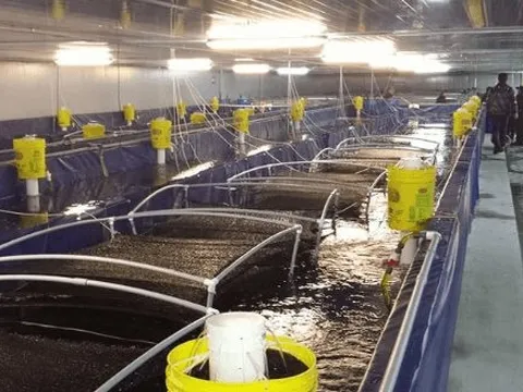 Trung Quốc bất ngờ tăng nhập khẩu gấp 3 lần mặt hàng này của Việt Nam: Nước ta là 'ông trùm' đứng thứ 2 thế giới, hơn 100 quốc gia đặt gạch mua hàng