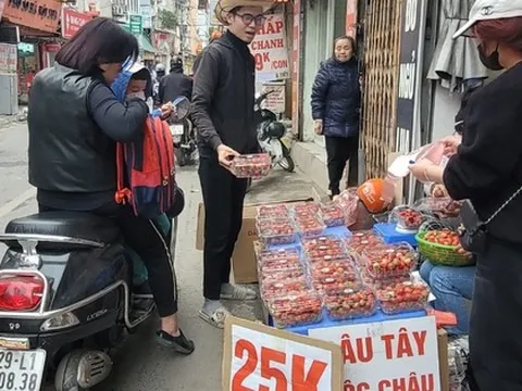 Dâu tây xuống phố, nông dân thu về trăm triệu đồng mỗi ha